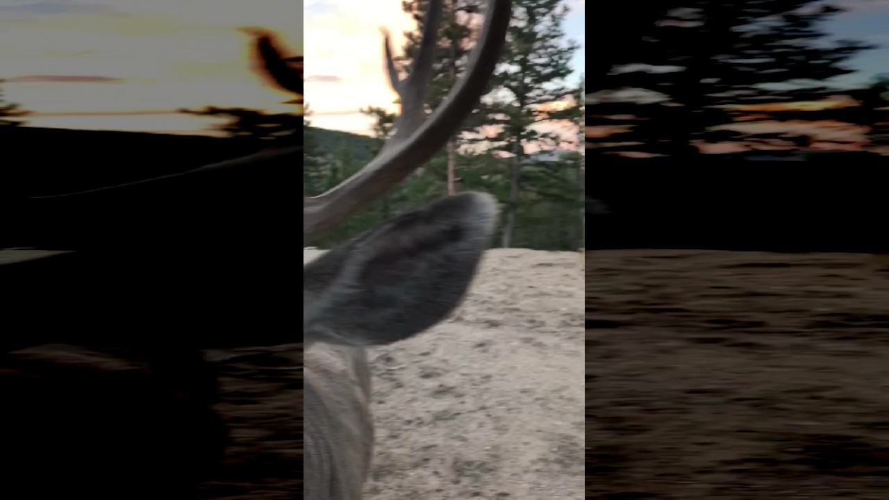 file_thumbnail