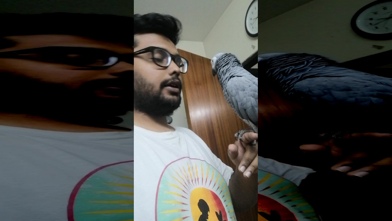 file_thumbnail
