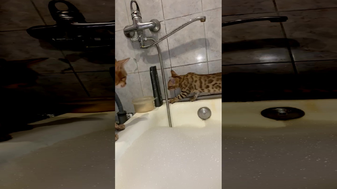 file_thumbnail