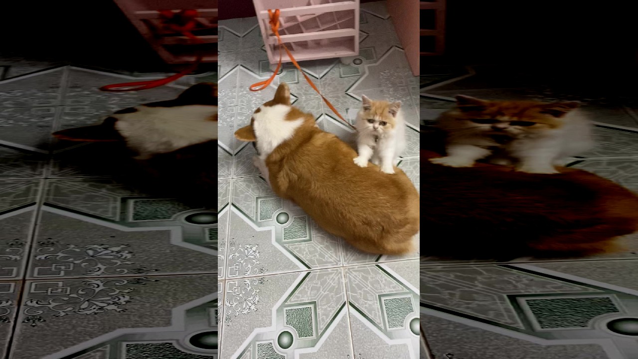 file_thumbnail