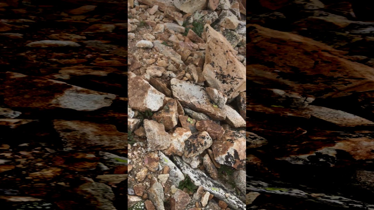 file_thumbnail
