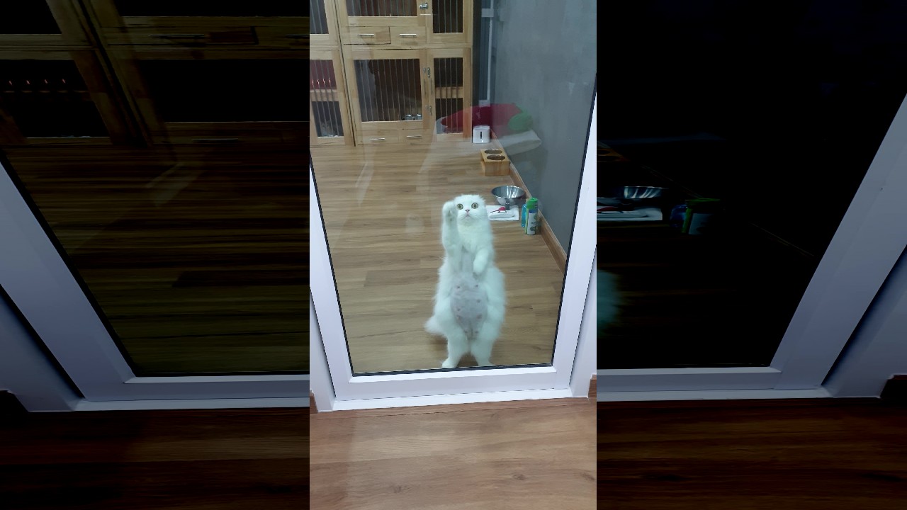 file_thumbnail