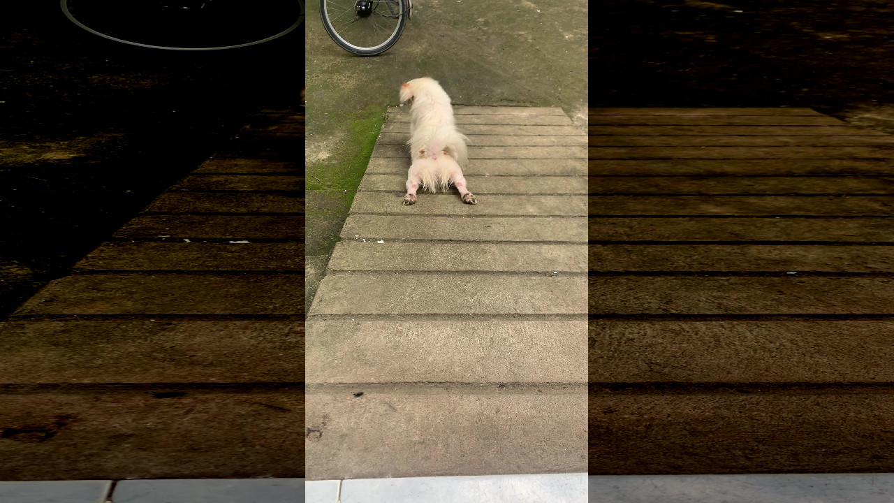 file_thumbnail