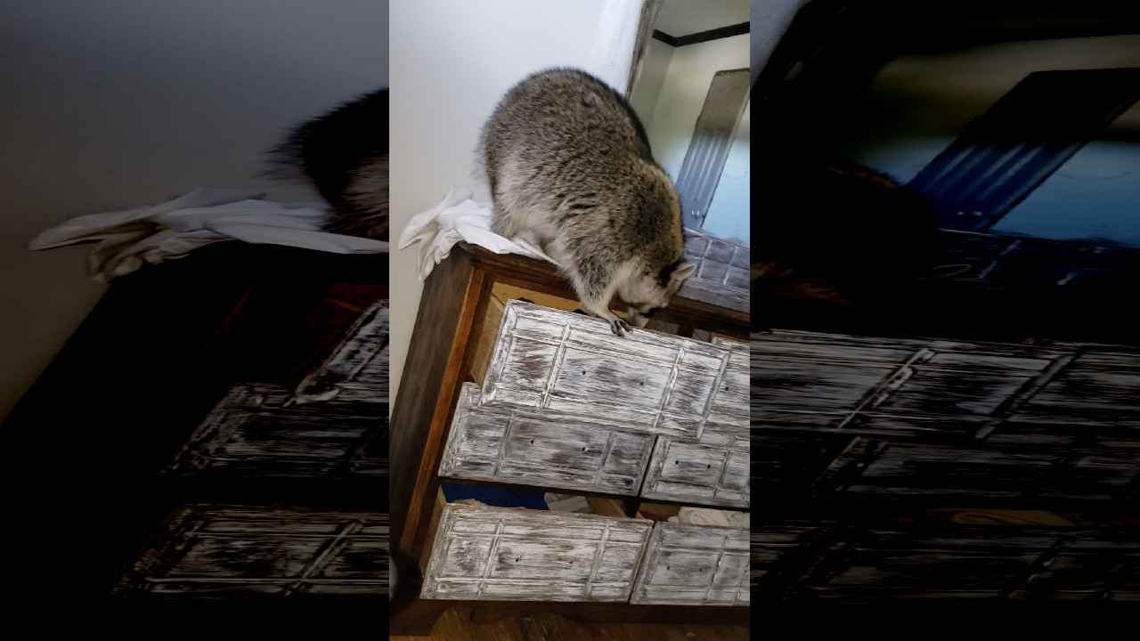 file_thumbnail