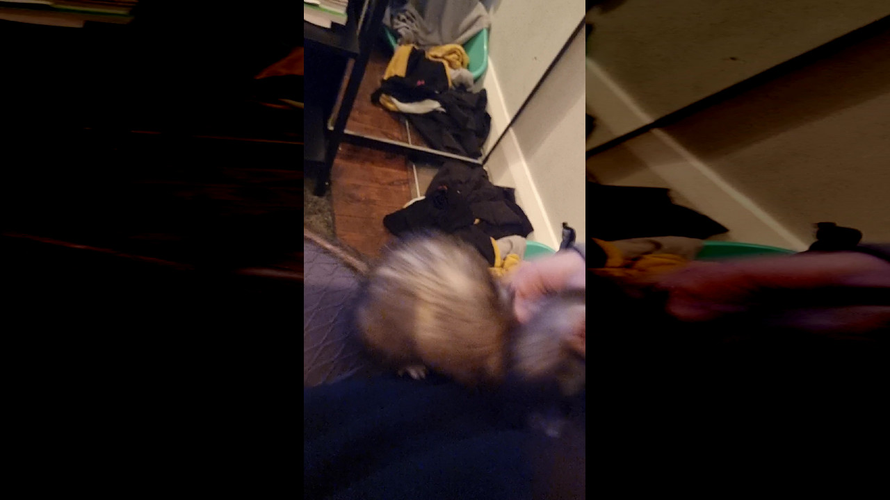 file_thumbnail
