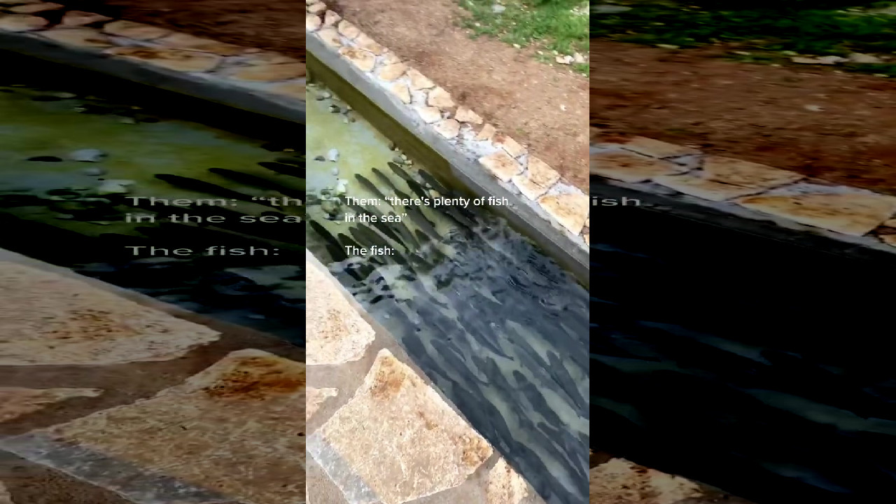 file_thumbnail