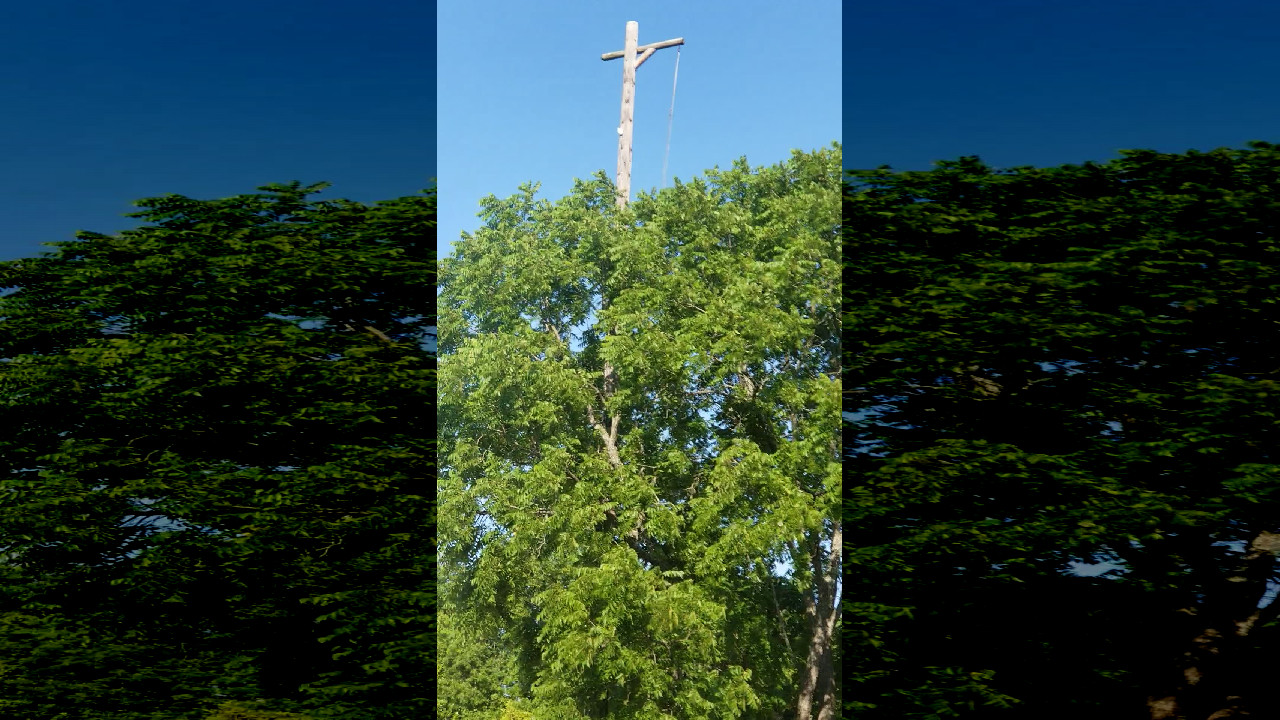 file_thumbnail