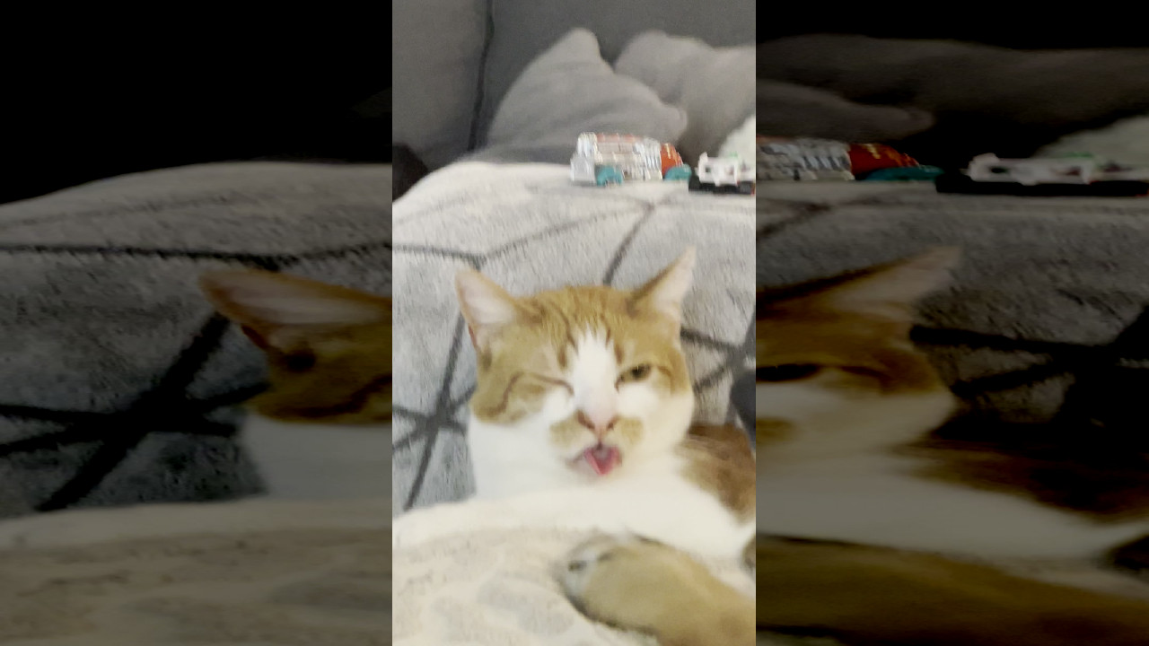 file_thumbnail