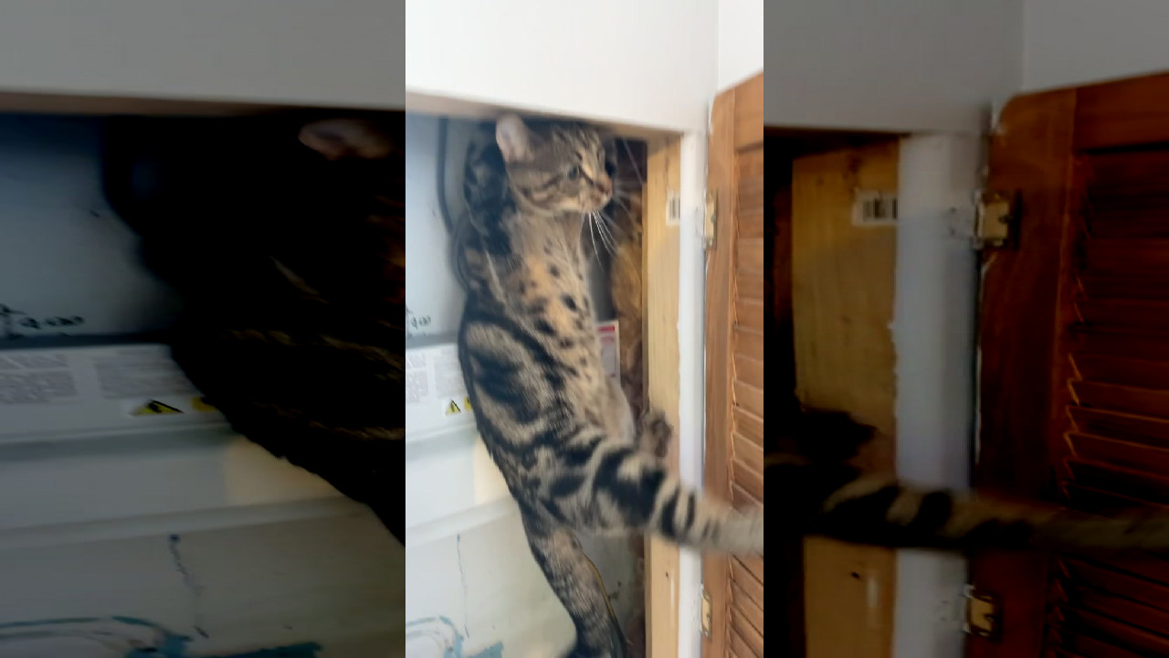 file_thumbnail