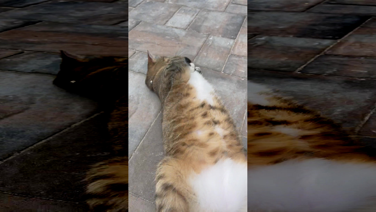 file_thumbnail