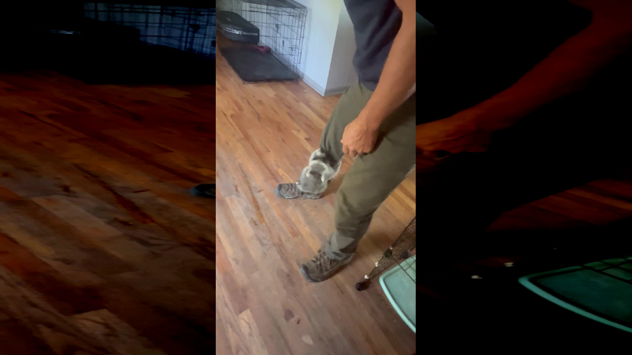 Airplane challenge pantsed