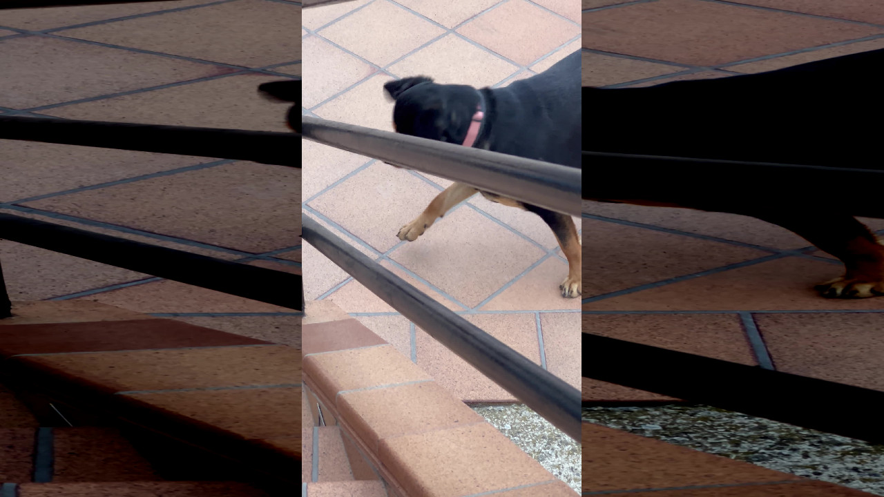 file_thumbnail