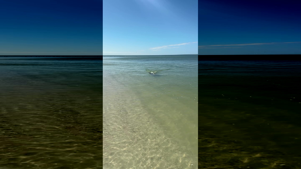 file_thumbnail