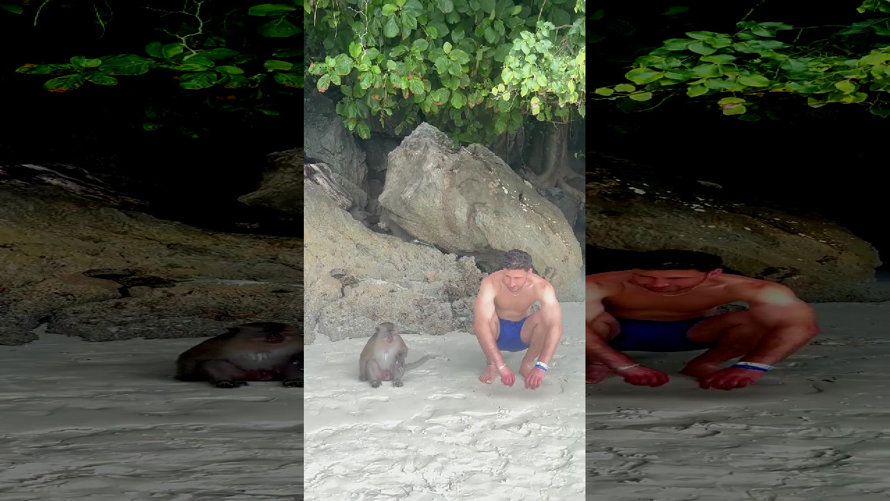 file_thumbnail