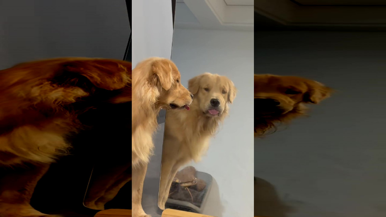 file_thumbnail