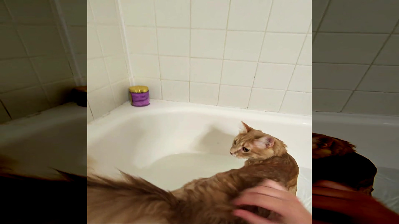 file_thumbnail