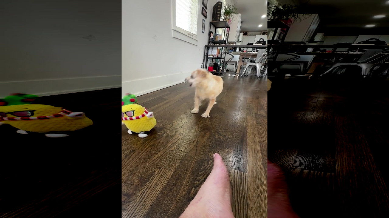 file_thumbnail