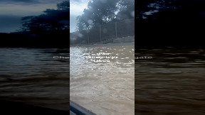 file_thumbnail