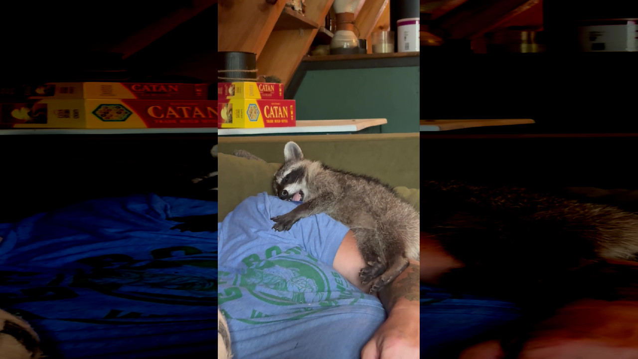 file_thumbnail