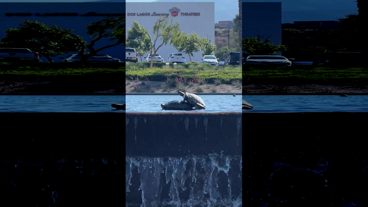 file_thumbnail