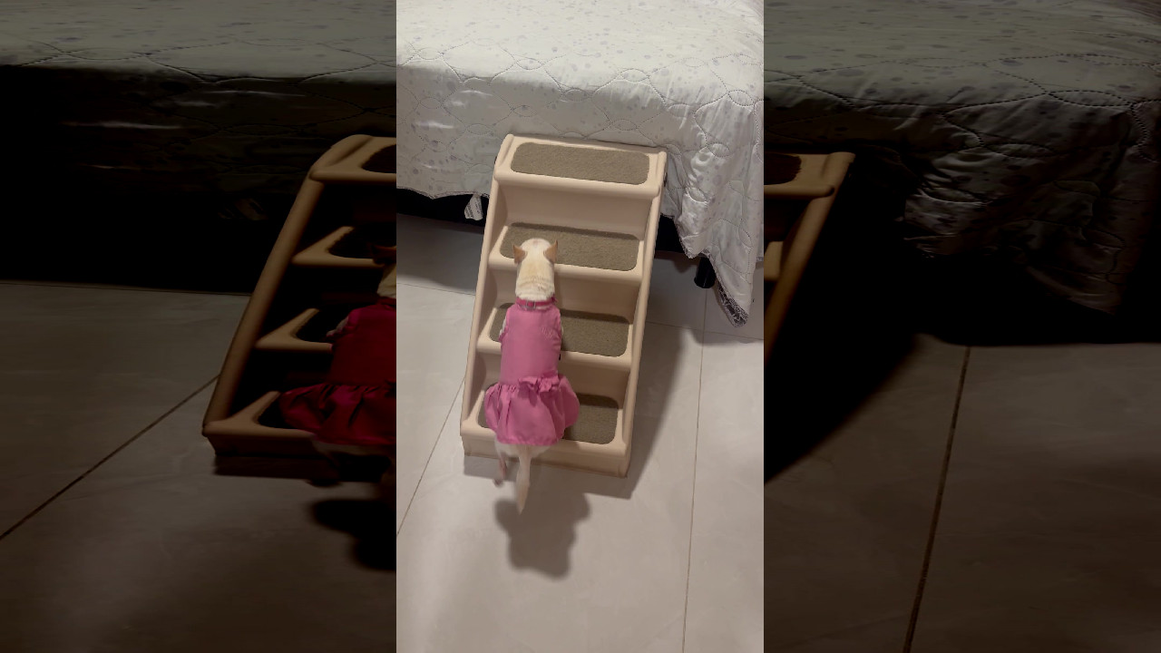 file_thumbnail