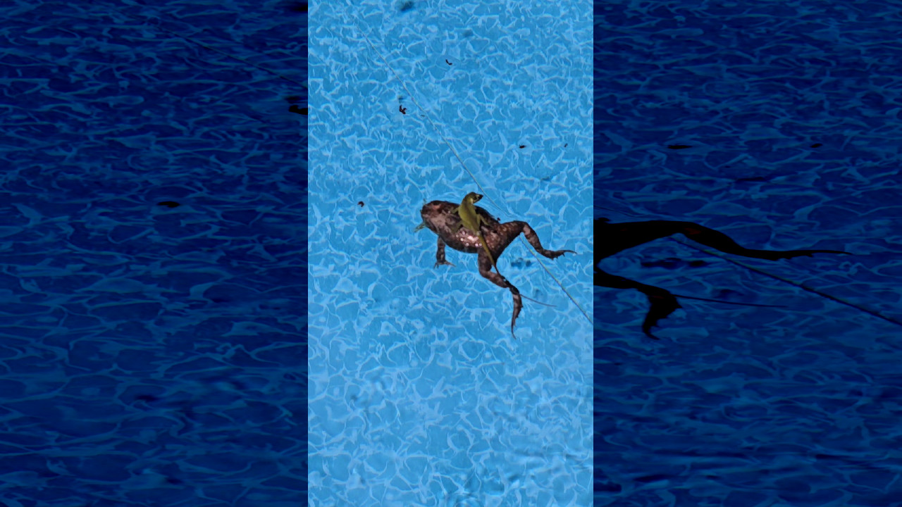 file_thumbnail
