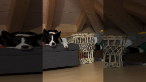 file_thumbnail