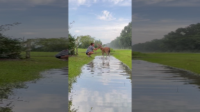 file_thumbnail