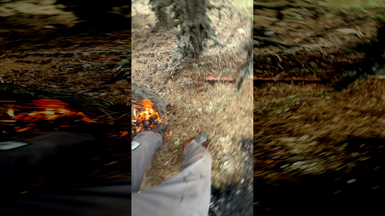 file_thumbnail