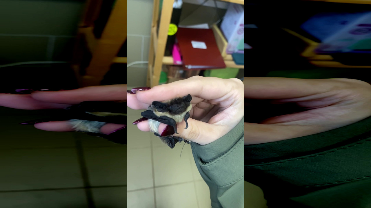file_thumbnail