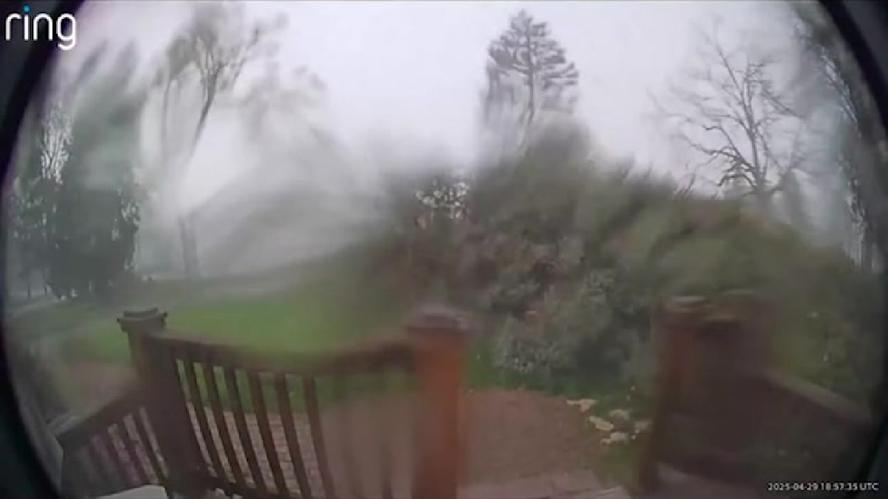 file_thumbnail