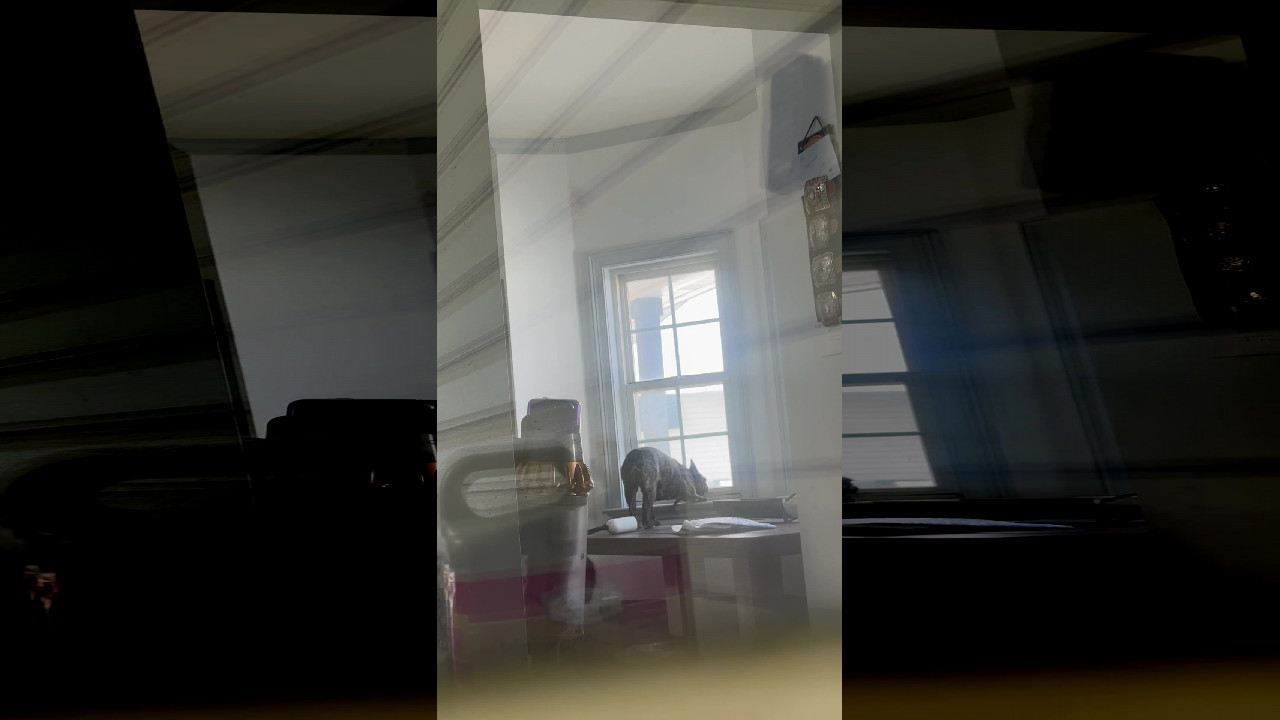 file_thumbnail