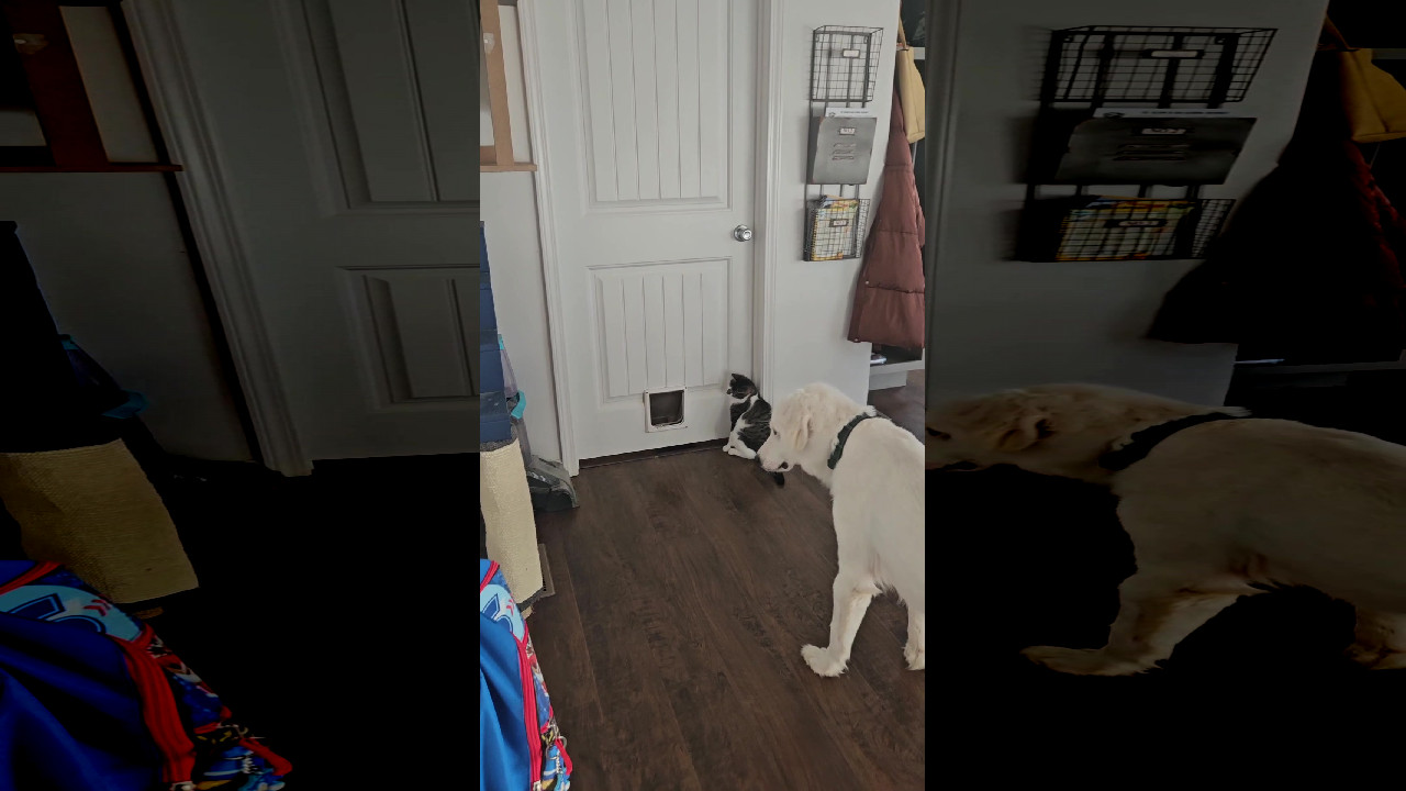file_thumbnail