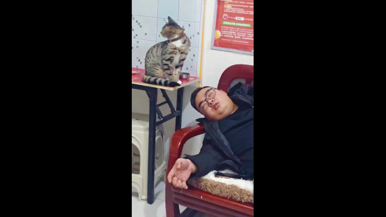 file_thumbnail
