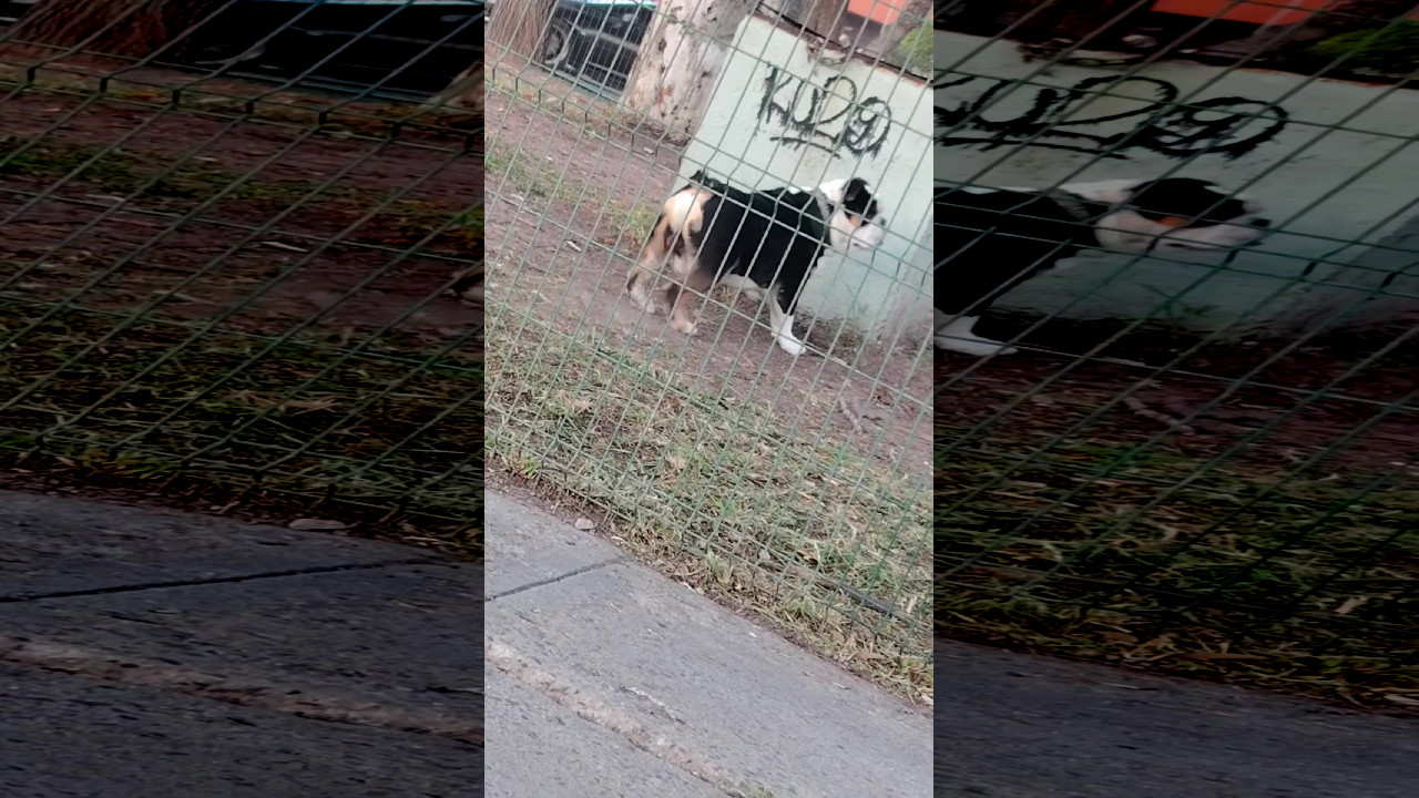 file_thumbnail