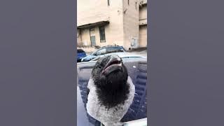 file_thumbnail