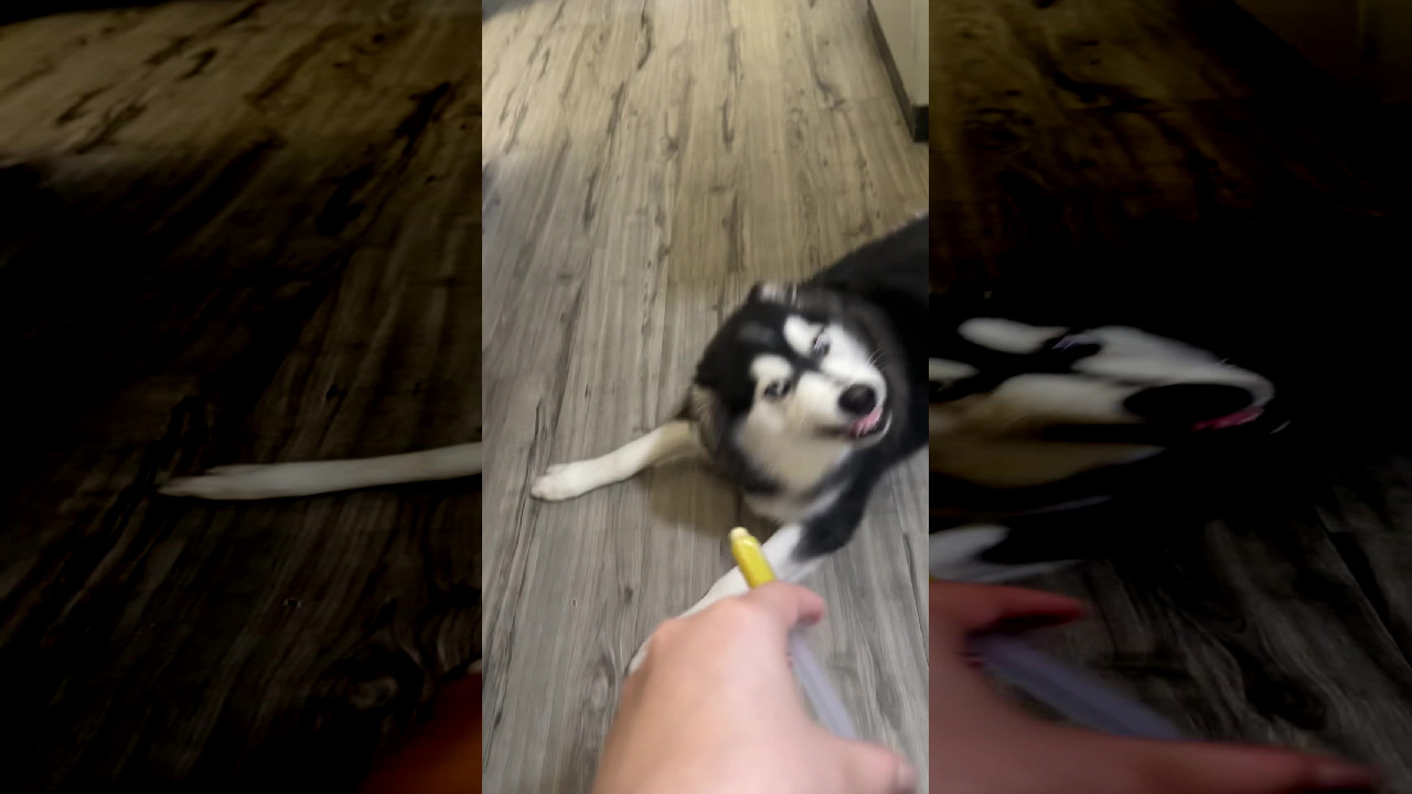 file_thumbnail