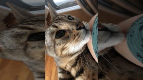 file_thumbnail