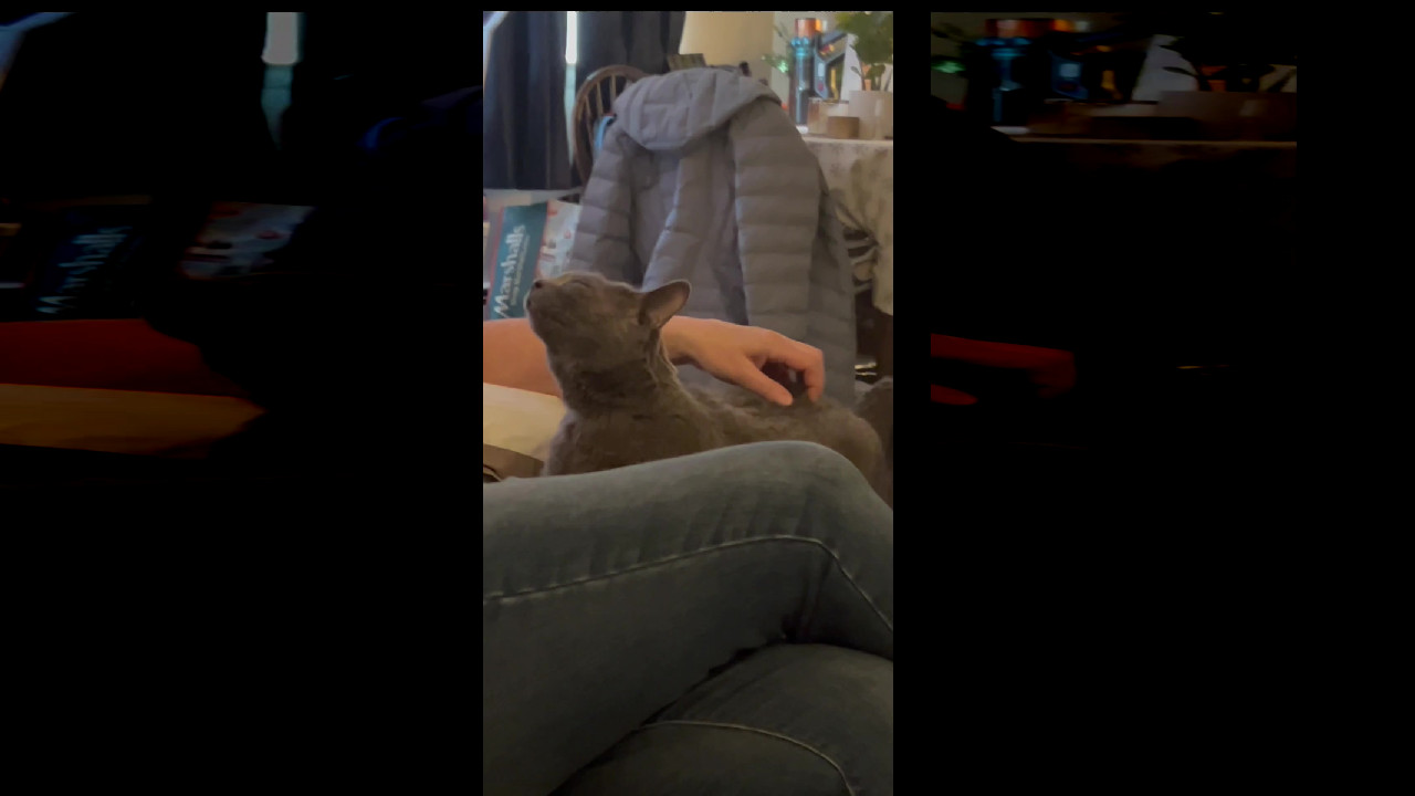 file_thumbnail