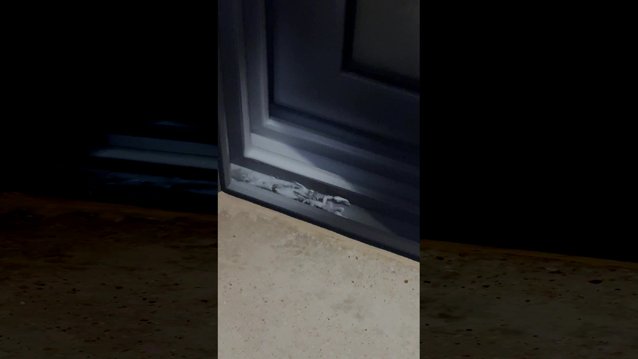 file_thumbnail