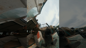 file_thumbnail