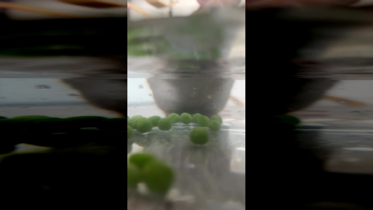 file_thumbnail