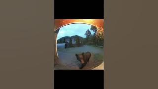 file_thumbnail