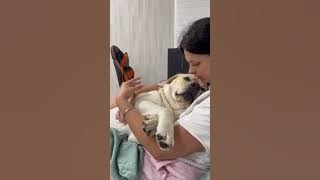 file_thumbnail