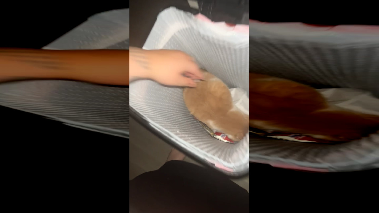file_thumbnail