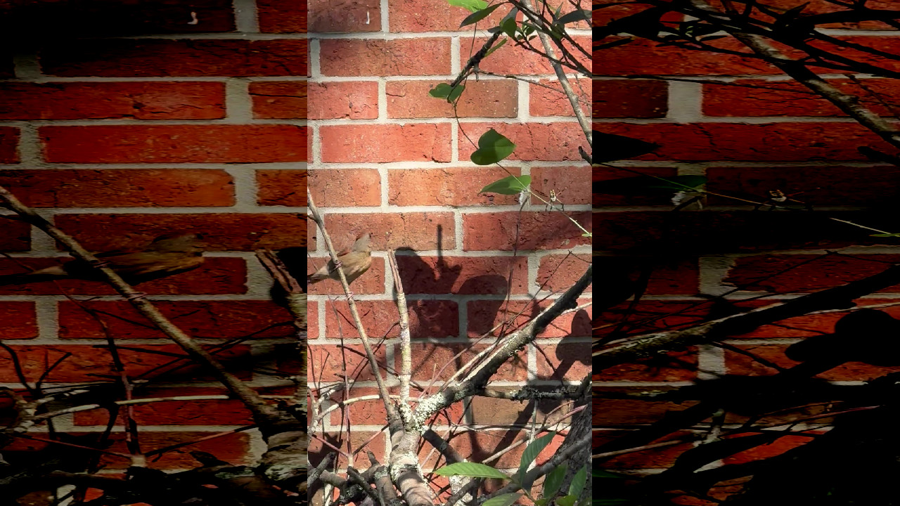 file_thumbnail