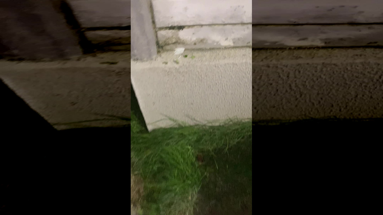 file_thumbnail