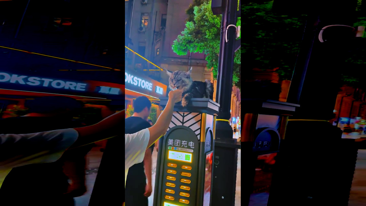 file_thumbnail