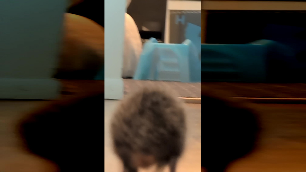 file_thumbnail