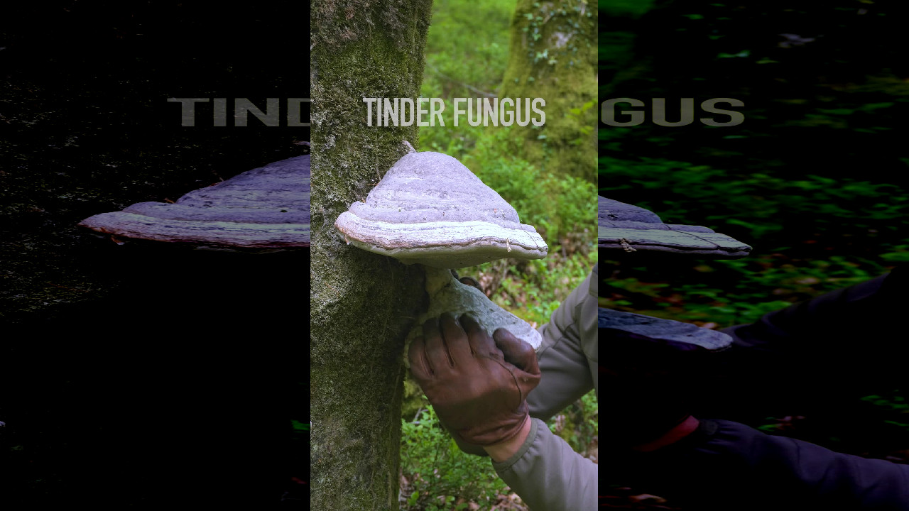 file_thumbnail